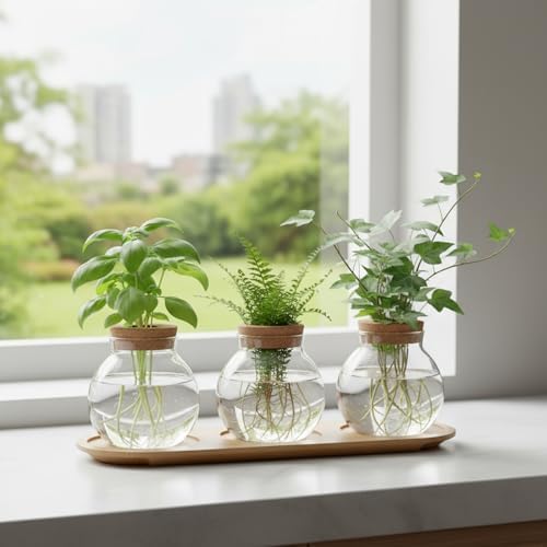 Plant Propagation Station, Glass Propagation Vases with Lid and Wooden Stand, Prop Drops Terrarium Jar for Hydroponics Home Garden Office Decor, 3 Bulb Vase by Unknown