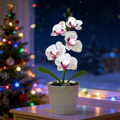 Artificial White Phalaenopsis Orchid Flower Lamp, Flower Night Light for Bedroom Wedding Bar Coffee Shop Decor, Gifts for Women Mom Grandma Friend Birthday Christmas Valentines Mothers Day by Hibeauti