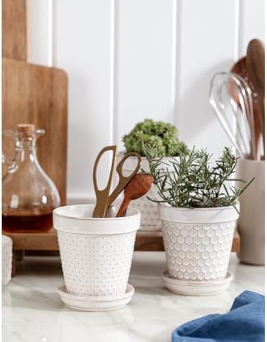Ceramic Succulent Pots with Drainage Hole & Saucer, 4 Inch Small Plant Pots, Ceramic Planter for Indoor Plants, Embossed Flower Pots, Home Decor, Set of 4, Off-White - Image 2