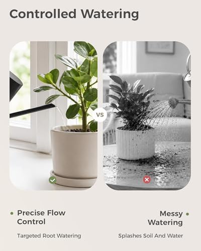 Bamworld Watering Can Indoor Plants Small Black 17oz 500ml - Image 3