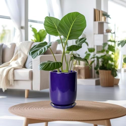 Ceramic Plant Pot - 8 Inch Planter for Indoor Plants Outdoor Flower Pot with Drainage Hole and Saucer Home Patio Office Decor Blue - Image 2