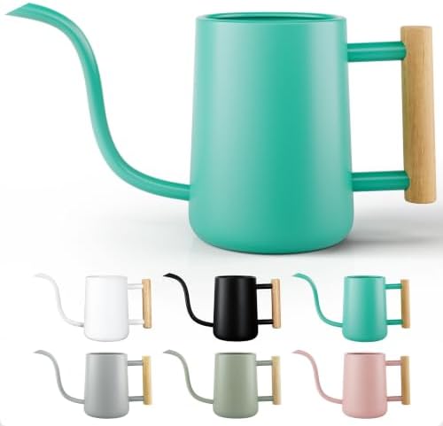 Metal Small Indoor Watering Can with Long Spout & Real Wood Handle, 35oz by HBDesignCo