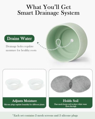 Succulent Pots, 8"+6" Plant Pots, Ceramic Planters for Indoor Plants - Image 4