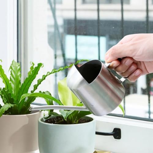 Mini Watering Can Stainless Steel Long Spout 10oz/300ml Small Watering Can for Indoor Desk Plants Outdoor Flowers Succulents Garden Watering Pot Gardening Tool（Sliver） by Luxmars