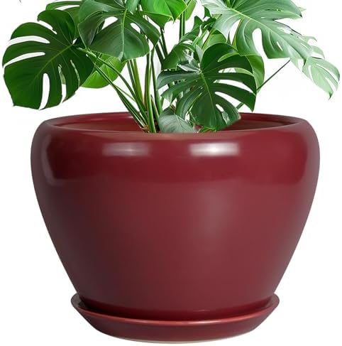 Ceramicfor 10 Inch Plant Pot, Ceramic Planter, Red by Ceramicfor