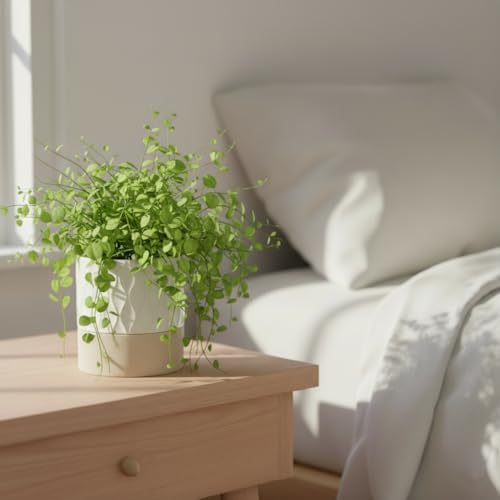 Nihow Self Watering Ceramic Plant Pot, 4.5 Inch, Cream White & Brown Net - Image 4