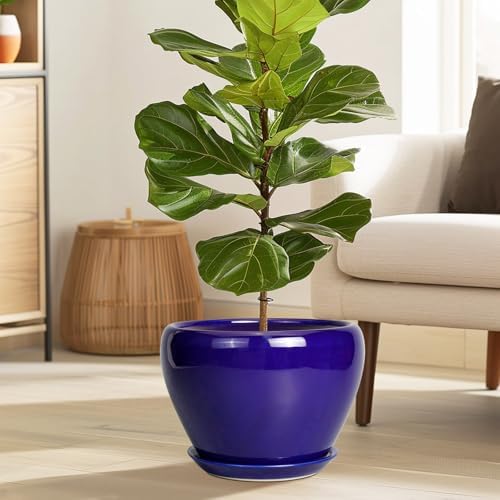 Ceramicfor Ceramic Planter 10 Inch, Indoor Plant Pot for Plants, Royal Blue - Image 2