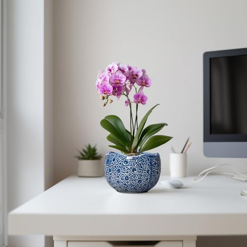 Orchid Pot - 6 Inch Ceramic Plant Pot for Indoor Outdoor, Round Unique Planters with Drainage Hole, Modern Round Decorative Flower Pots, Home Decor, Gifts for Plant Lovers, Blue - Image 5