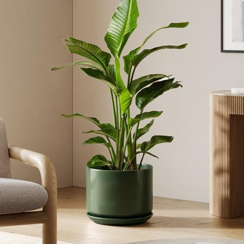 LE TAUCI 12 Inch Pots for Plants, Ceramic Plant Pots with Drainage Holes and Saucers, Elegant and Durable Large Plant Pot, Perfect for Home & Office Decor, Forest Green by LETAUCI