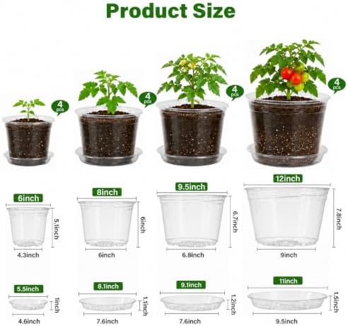 Bluepro Clear Nursery Pots with Saucers, 6/8/10/12 Inch, 20-Pack - Image 2