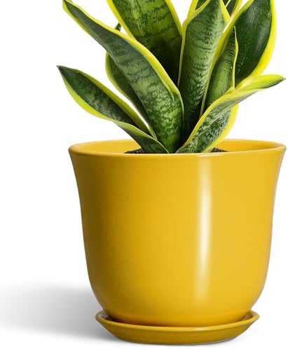 Ceramic Pots for Plants - 8 Inch Plant Pot for Indoor Outdoor, Round Planter with Drainage Hole and Tray, Decorative Flower Pot, Modern Planter, Home Patio Decor, House Warming Gift, Yellow by SUNPOTFOR
