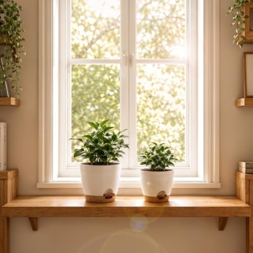 Utopia Home Self Watering Pots for Indoor Plants 6.8"/6.4"/5.9"/5.5"/4.9", Planters for Indoor Plants, Multi-Size Flowerpot, Set of 10 Plant Pots with Drainage & Reservoir (White) - Image 2