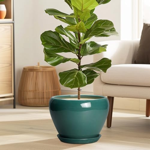 Ceramicfor Ceramic Planter for Indoor Plants 10 Inch, Green - Image 2