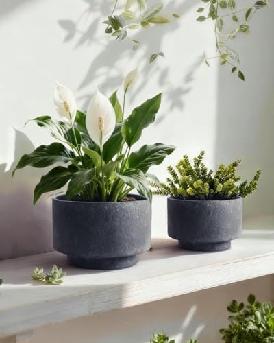 Succulent Pots, 8"+6" Plant Pots, Ceramic Planters for Indoor Plants - Image 3