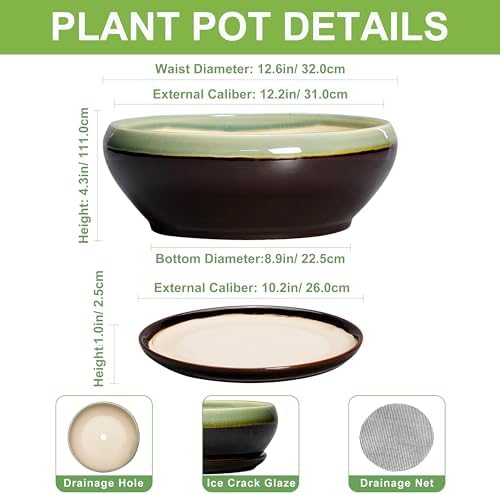 SQOWL Bonsai Pots 12 Inch - Large Ceramic Pots for Succulents with Drainage Hole and Saucer, Shallow Planter for Indoor Plants Outdoor, Round Planter Bowl, Office Decor, Gifts for Women, Green-Brown - Image 2