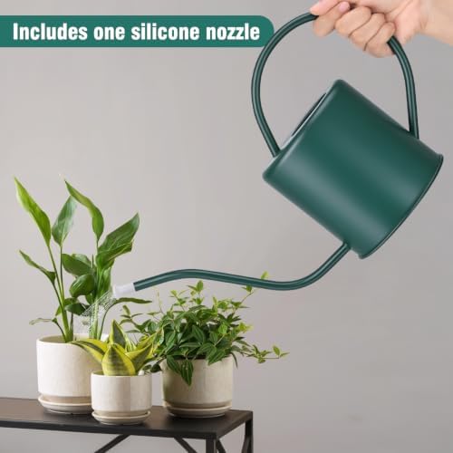 Plant Watering Can, 50 oz / 1500 ml Stainless Steel Metal - Modern Decorative with Long Spout for Indoor Potted Plants, Bonsai, Garden Flowers, Alpinegreen - Image 4