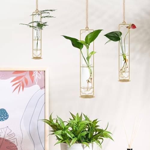 MIPON Metal Hanging Plant Propagation Station,3 Size Glass Test Tube Hydroponic Planter,Boho Wall Hanging Plant Cuttings Holder,Indoor Water Plant Terrarium Tubes for Home Office Window Decor-Gold - Image 4