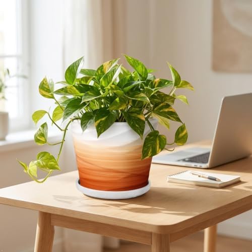8 Inch Ceramic Plant Pot, Khaki + White - Image 6
