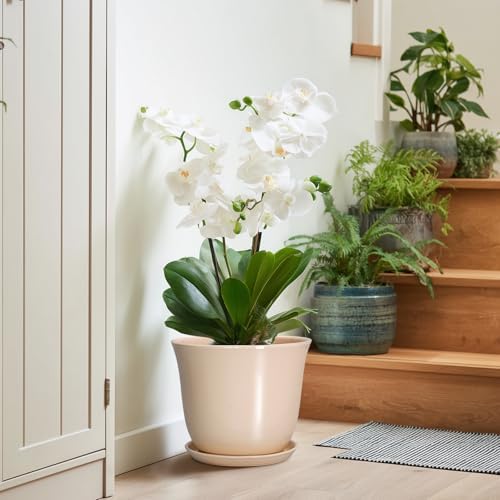 Ceramic Planter, 10 Inch Plant Pot for Indoor Plants, Beige - Image 6