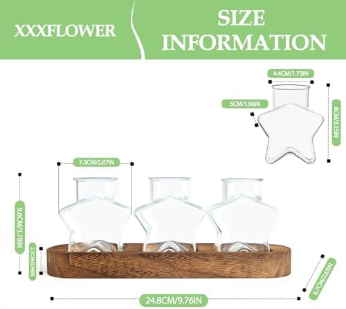 XXXFLOWER Plant Propagation Station with Wooden Stand 3 Star Jars - Image 2