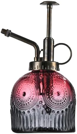 Spray Bottle for Plants, Plant Mister Spray Bottle, Glass Plant Mister Spray Bottle, Embossed Vintage Glass Watering Can, Succulent Watering Bottle with Top Pump for Outdoor (H) by Unknown