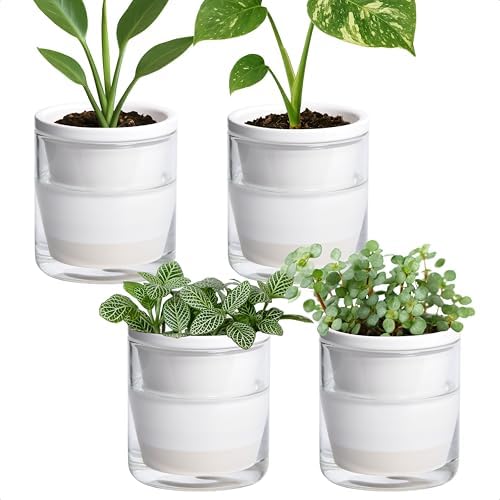 D'vine Dev Self-Watering White Terracotta Planter, 4 in, 4-Pack, 37-Z-A-2-F by DvineDevPlanterPotsandStand