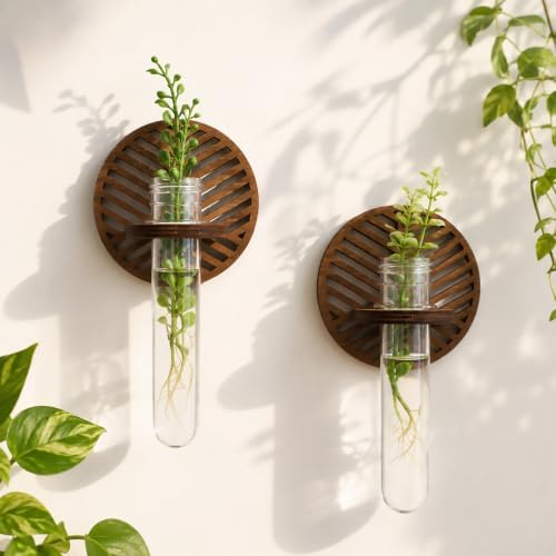 Artilady Plant Propagation Station Wall Hanging, Wood Arch Terrariums Tube by Artilady