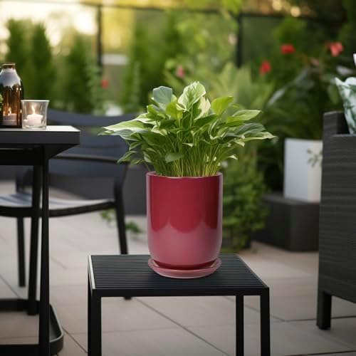 Ceramic Pot for Plants - 8 Inch Plant Pot Indoor with Drainage Hole and Saucer Cylinder Flower Pot for Indoor Outdoor Plants Home Patio Office Decor Red - Image 2