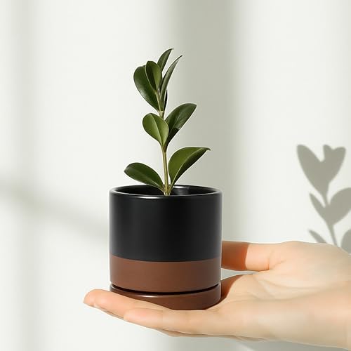 D'vine Dev 3.5 Inch Ceramic Planter Pot, Black/Tan, 94-O-A-7 - Image 6