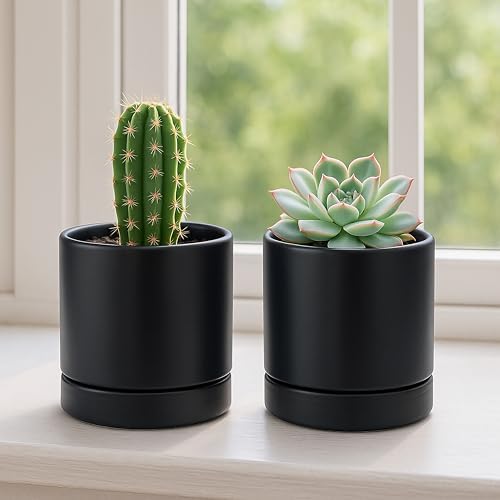 D'vine Dev 4.7 Inch Ceramic Planter Pot, Black, 94-O-B-2 - Image 6