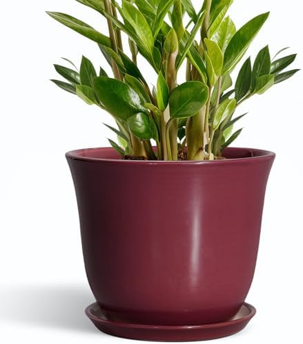 Ceramic Plant Pots - 10 Inch Plant Pot with Drainage Hole and Saucer, Round Planter for Indoor Outdoor, Modern Decorative Large Flower Pots, Home Room Garden Decor, Plants Lovers Gifts, Red by SUNPOTFOR