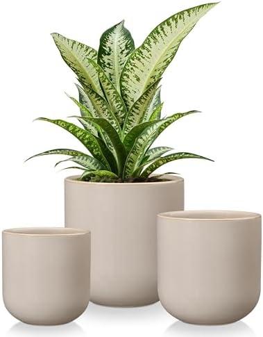 vancasso Ceramic Plant Pots, 4+5+6 inches, Set of 3, Planters with Drainage Hole, Flower Pots Planters Pots for Indoor Plants, Modern Indoor Decorative Garden Pot, Home Decor, Gray by vancasso
