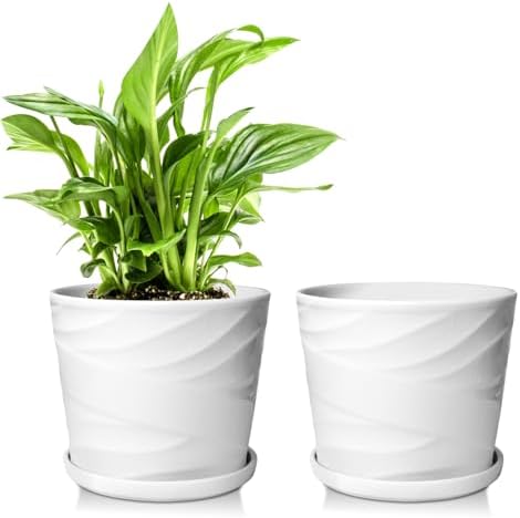 6 Inch Plant Pot,Ceramic Planter with Drainage and Saucer(6.7 In Diameter) by YUFDA
