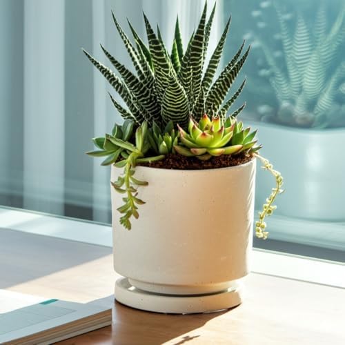 Nihow Ceramic Plant Pot Drainage Hole & Saucer for Indoor Plants, 5.7 Inch - Image 6