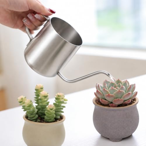 Plant Watering Can, 12 oz / 350 ml Stainless Steel Indoor Plants - Image 2