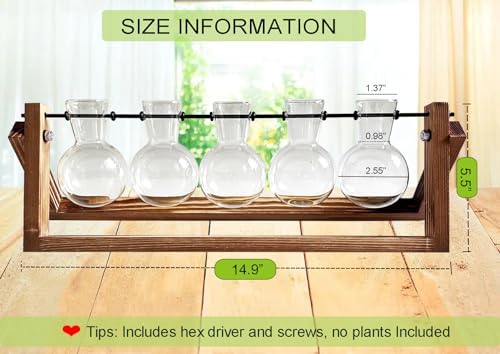 Kingbuy Plant Propagation Station with 5 Bulb Vases Retro Wooden Stand Desktop Glass Planter Terrarium for Hydroponics Plants Home Office Décor - Image 7