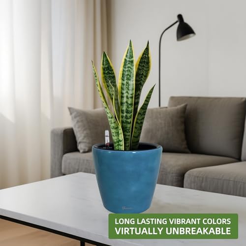 Dexceder 9x8 Self Watering Planter (Peacock Blue Gradient) - Image 6