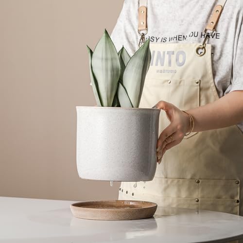 8 Inch Ceramic Plant Pot with Drainage Hole & Separate Saucer - Image 4