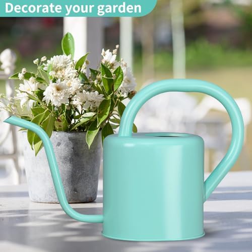 Watering Can, Stainless Steel Watering Can for Indoor & Outdoor Plants, 1L/35oz Long Spout Water Can with Handle, Rust-Proof Plant Watering Pot for House Plants, Garden Flowers - Image 4