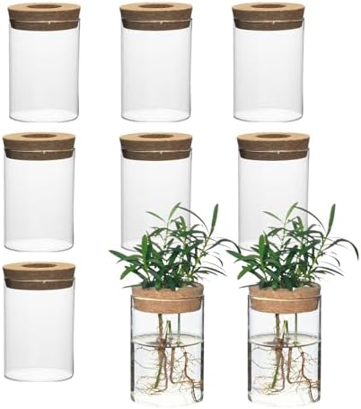 Separated Desktop Glass Flower Vases with Wooden Saucers - Ideal Plants Propagation Stations for Living Room, Bedroom Decoration,Home Decor (9) by wangsdjy