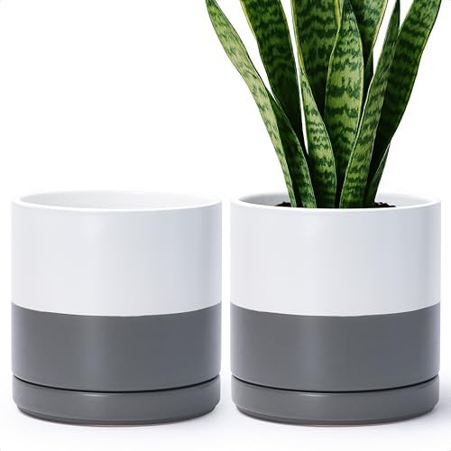 D'vine Dev 2-Pack Ceramic Pots with Saucers, White/Grey, 8.2 in, 94-V-D-6 by DvineDevPlanterPotsandStand