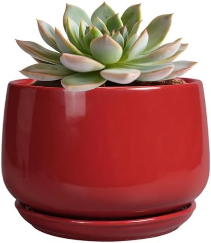 G EPGardening Ceramic Pot for Plants - 6 Inch Plant Pot with Drainage and Ceramic Tray, Modern Living Room Decor, Planter for Housewarming Gifts New Home, Red by GEPGardening