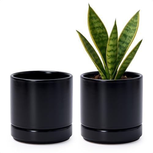 D'vine Dev 2-Pack Ceramic Pots with Saucers, Black, 4.7 in, 94-V-B-2 by DvineDevPlanterPotsandStand