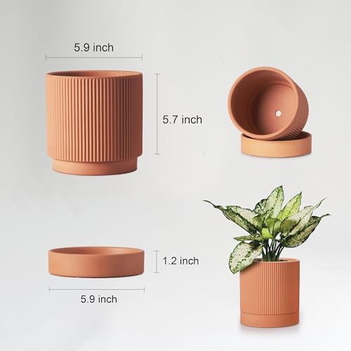 HERDUK Modern Terracotta Pots, 6 Inch Ribbed Textured Clay Planter Pots with Drainage Hole & Saucer, Garden Pots for Indoor/Ourdoor Plants, Succulent Cactus & Herb - Image 2