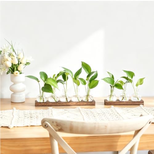 Plant Propagation Station, Plants Terrarium with Wooden Stand - Image 6
