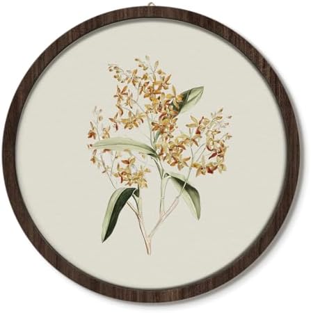ELMCH Vintage Cottagecore Orchid Botanical Wall Art, 10x10 Inch by Unknown
