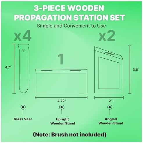 Plant Propagation Station - 3-Piece Wooden Stand with 4 Glass Test Tubes, Terrarium Vases for Plants, Hydroponic Propagation Planter for Home office Decor, Plant Lover Gift. - Image 3