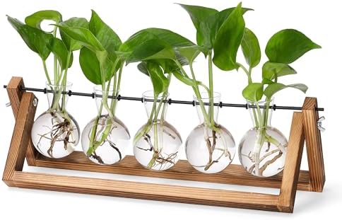 YIBOT Plant Propagation Stations with Wooden Stand & 5 Glass Bulb Vases by YIBOT