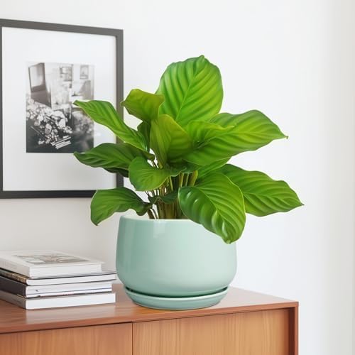 G EPGardening Ceramic Plant Pots, 7 Inch Planter, Mint Green - Image 5