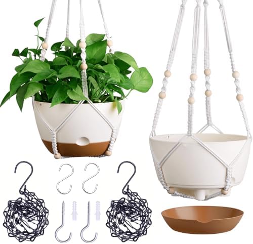 8 Inch Self Watering Hanging Plant Pot with Drainage Holes for Indoor by Montresor